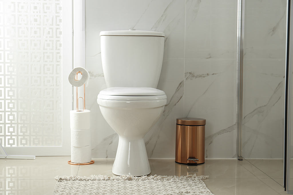 Vacuum Toilets And Plumbing Service: What It Is And Why You Should Get Them | Atlanta, GA