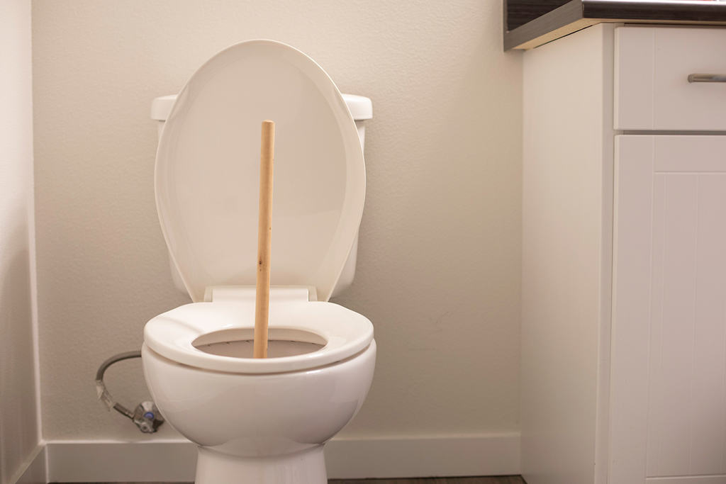 Clogged Toilets Can Be A Real Drain