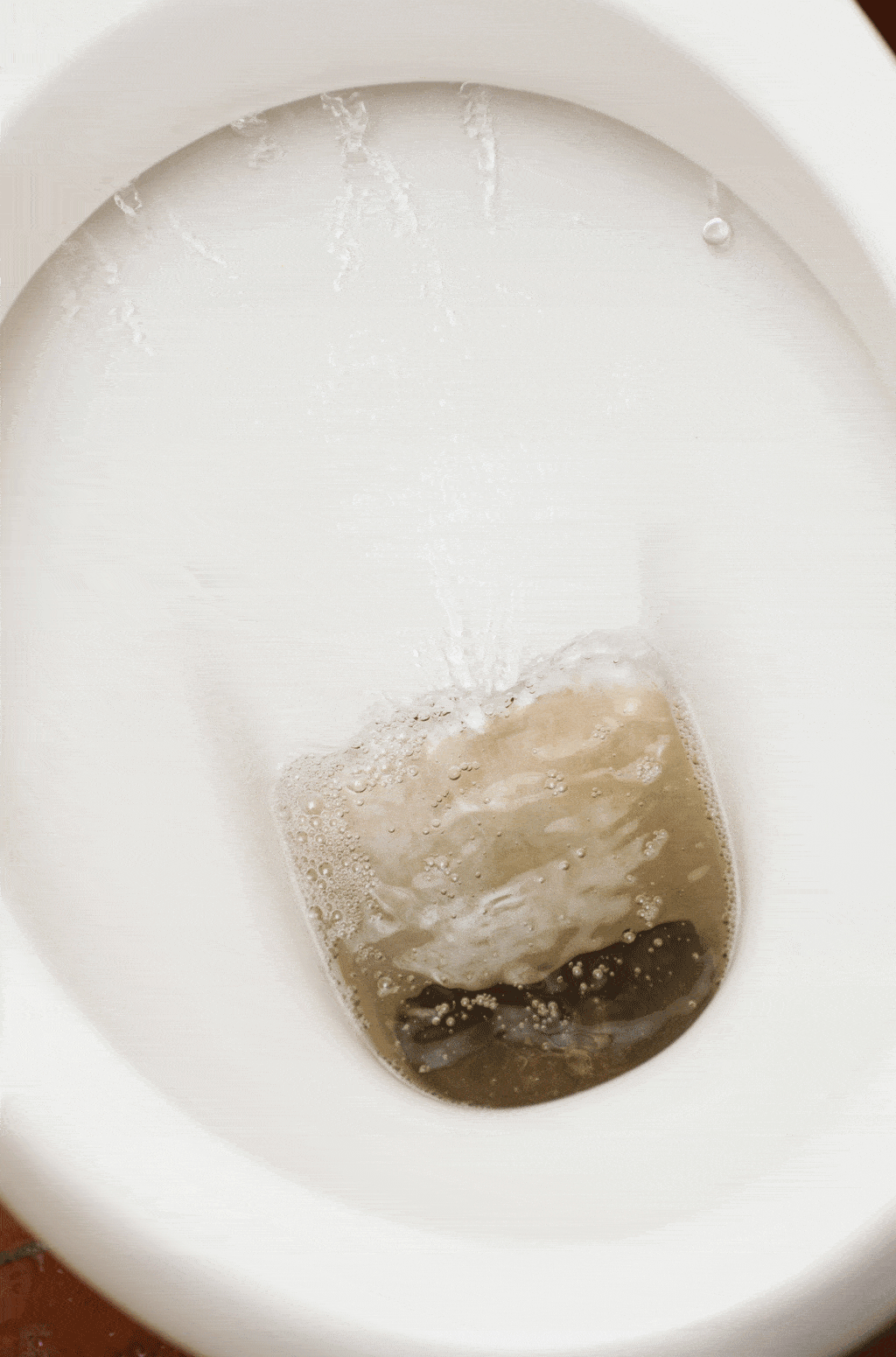 Common Toilet Problems| Toilet Repair 